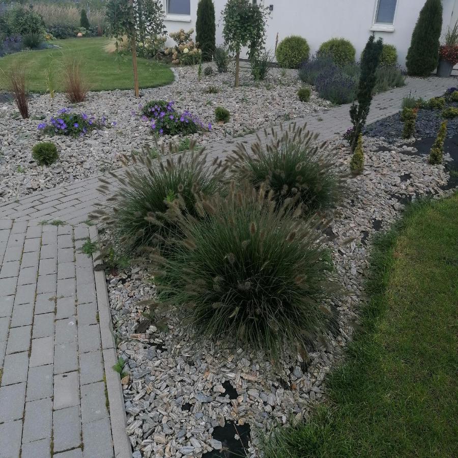 Villa "Lawendowe Wzgorze" Zastan Esterno foto